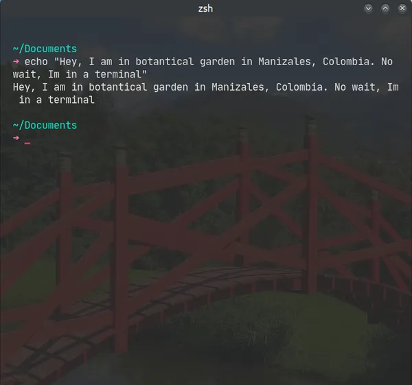 transparent terminal