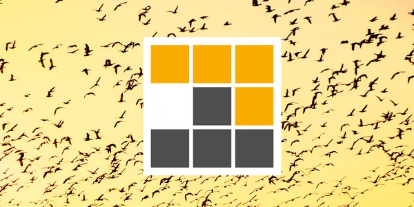 The pnpm logo is in front of an image of migratory birds flying.